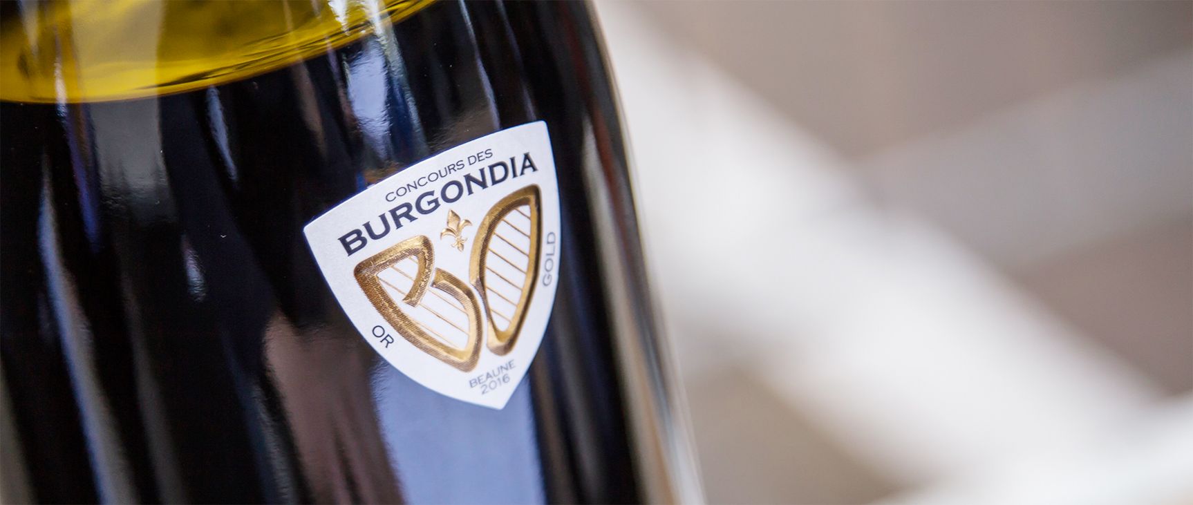 Burgondia Logo identité visuelle simulation