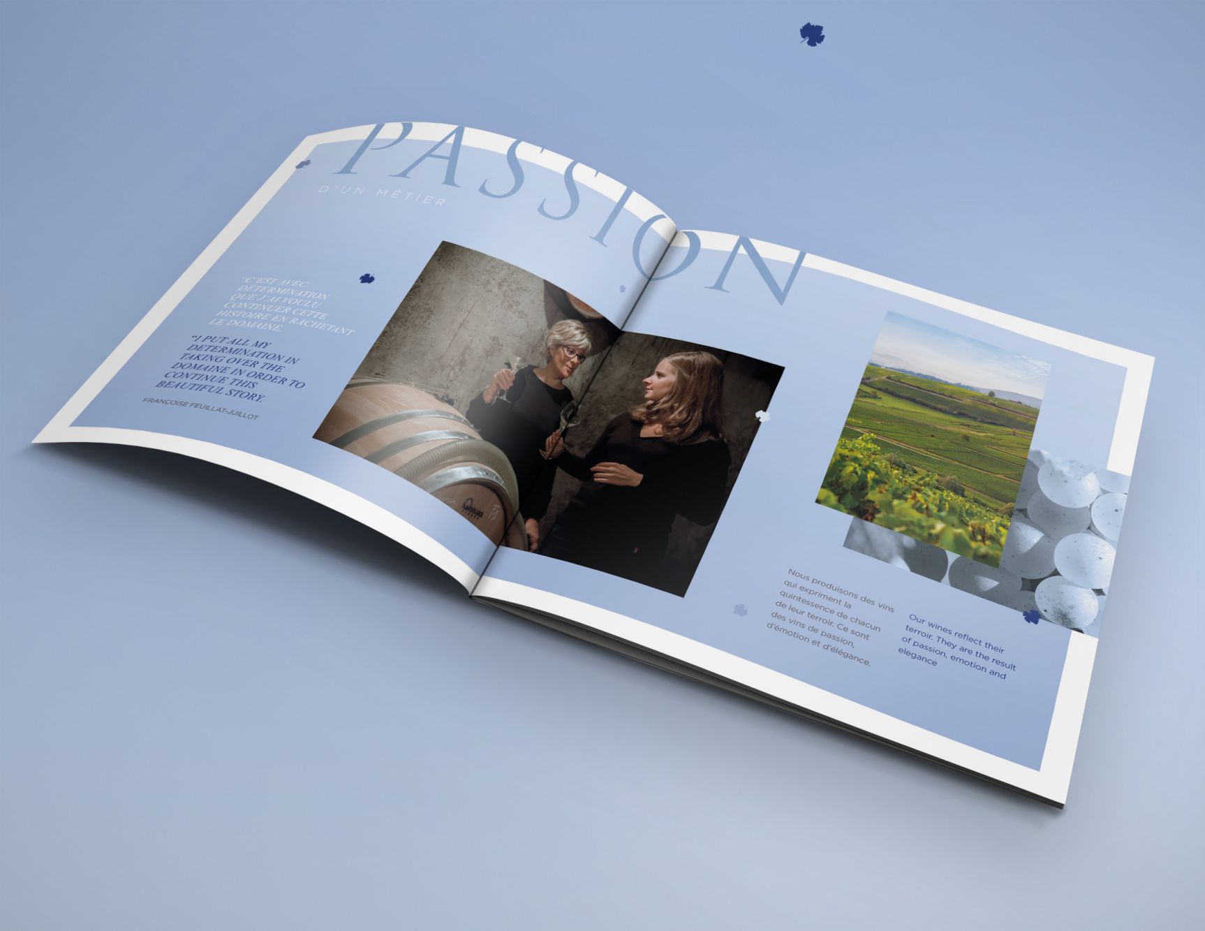 Brochure domaine Feuillat-Juillot