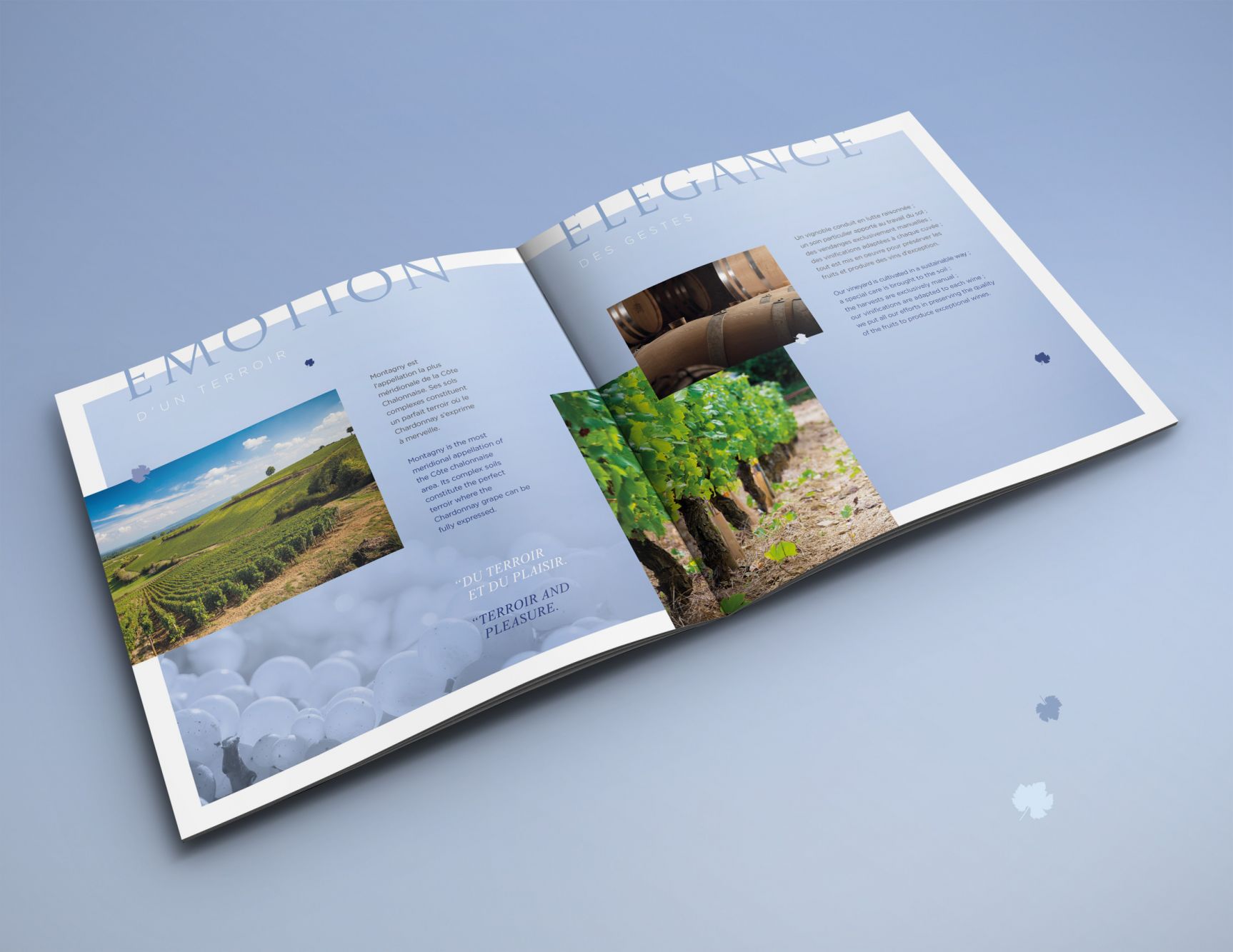 Brochure domaine Feuillat-Juillot