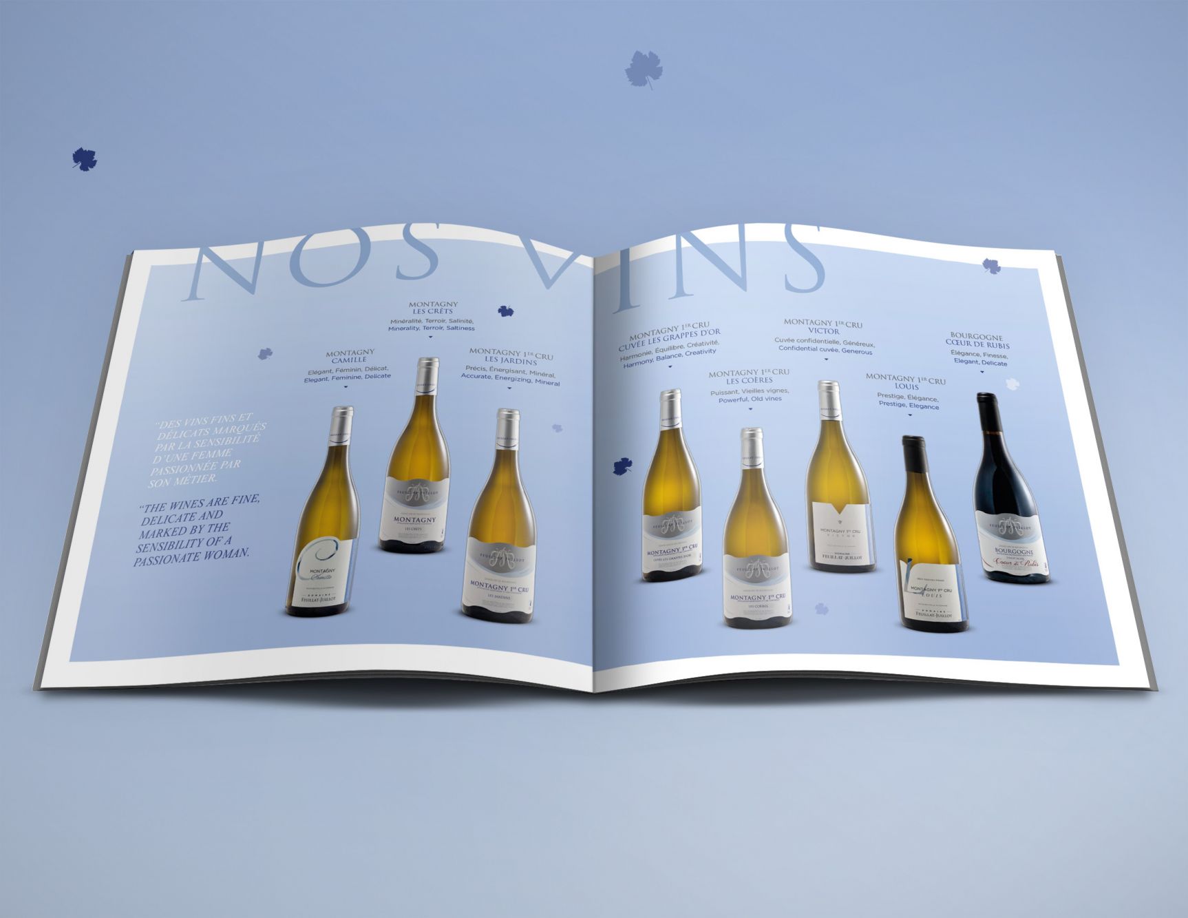 Brochure domaine Feuillat-Juillot